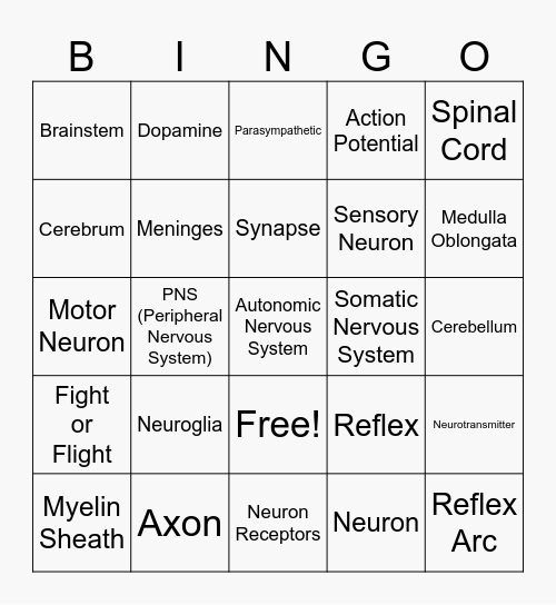 Nerveous system Bingo Card