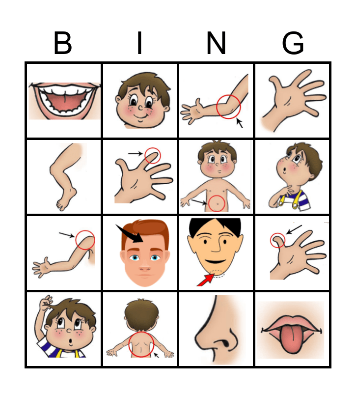 Les parties du corps Bingo Card