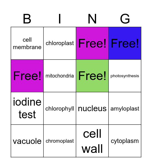 Plant Cell Bingo Card