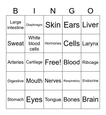 Human Body Systems Bingo Card