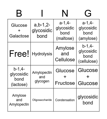 Chemistry 1451 Bingo Card