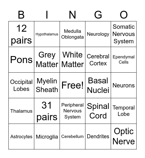 Central and Peripheral Nervous System Bingo Card