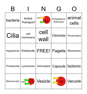 Cells Bingo Card