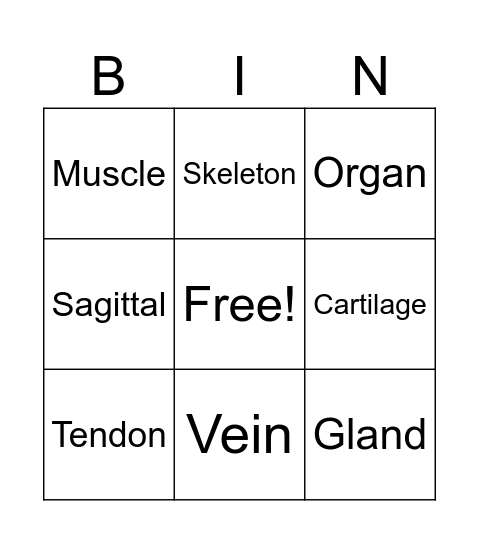 Vocab List 1 Bingo Card