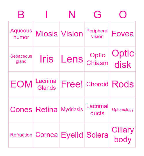 Optimology Bingo Card