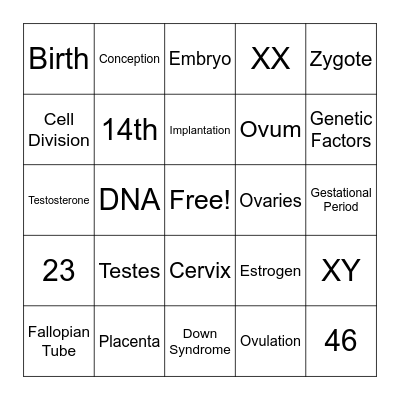 Conception and Prenatal Development Bingo Card