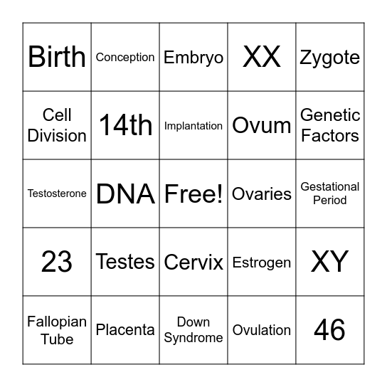Conception and Prenatal Development Bingo Card