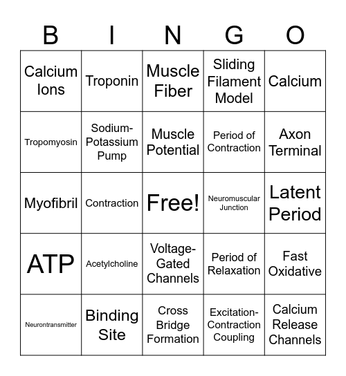 Muscle Excitation Bingo Card