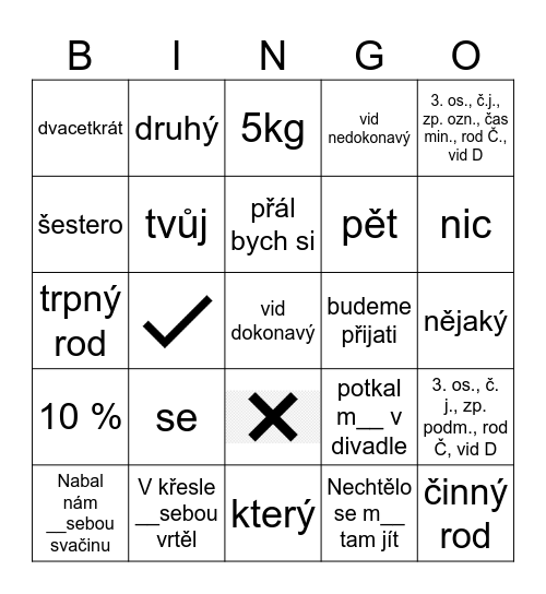 opacko Bingo Card