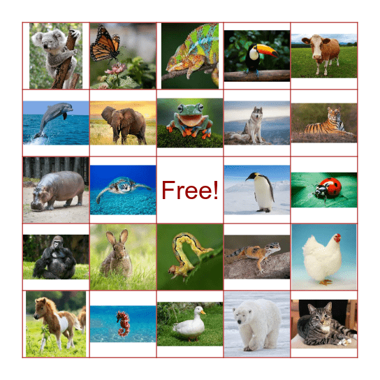 Animal Bingo Card