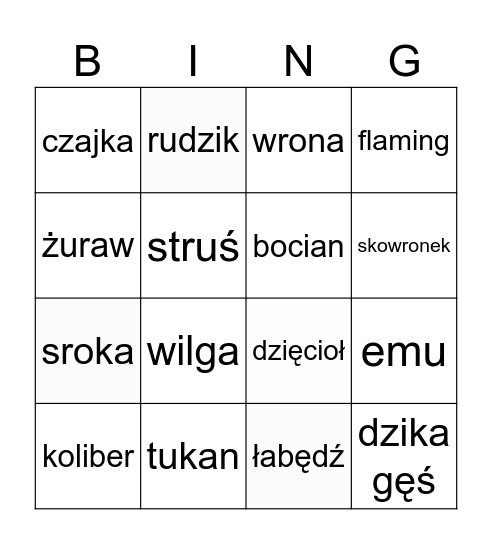 Ptaki zimujące w polsce Bingo Card