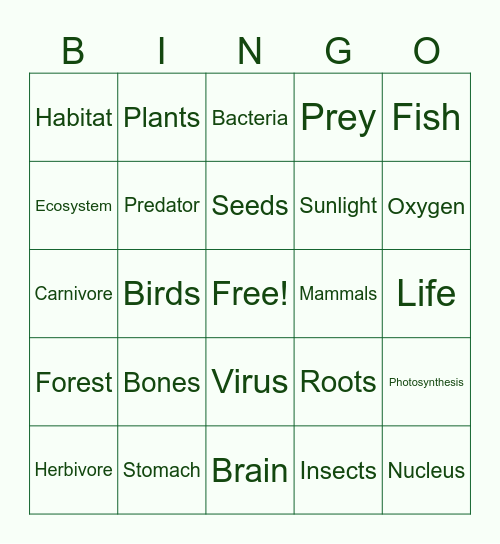 WLS Rosalind Franklin Bingo Card