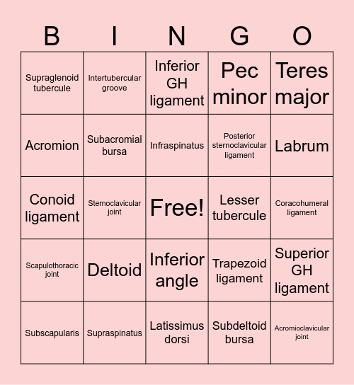 Anatomy Review Bingo Card