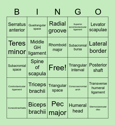 Anatomy Bingo Part 2 Bingo Card