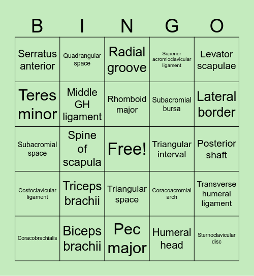 Anatomy Bingo Part 2 Bingo Card