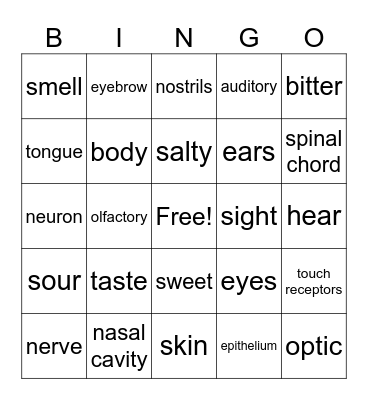 Five Sensibilities Bingo Card