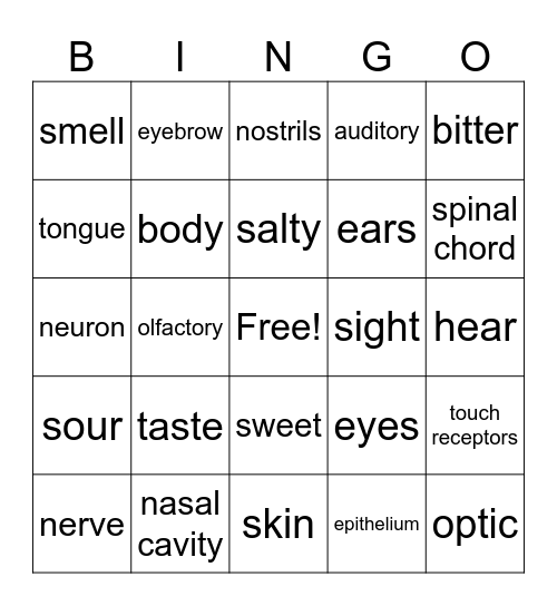 Five Sensibilities Bingo Card