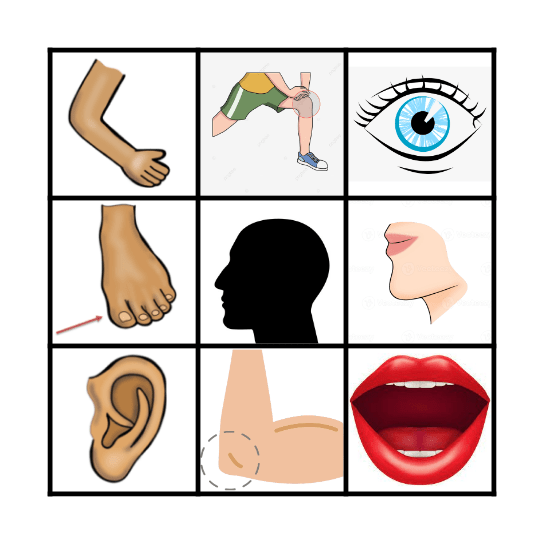 BODY PARTS Bingo Card