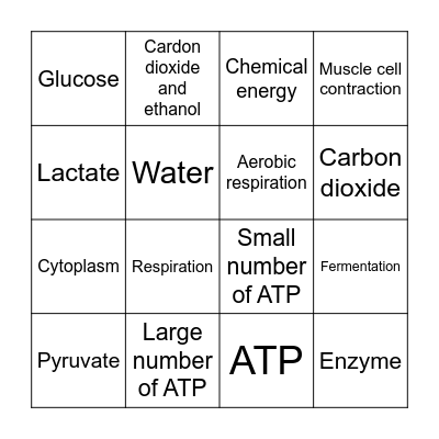 Respiration Bingo Card