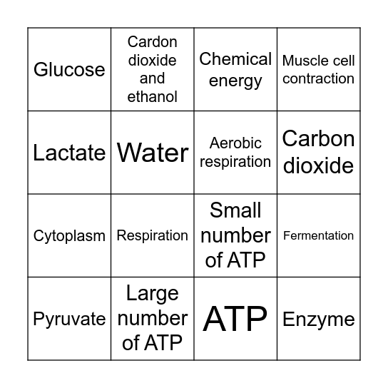 Respiration Bingo Card