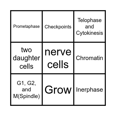 Mitosis Bingo Card