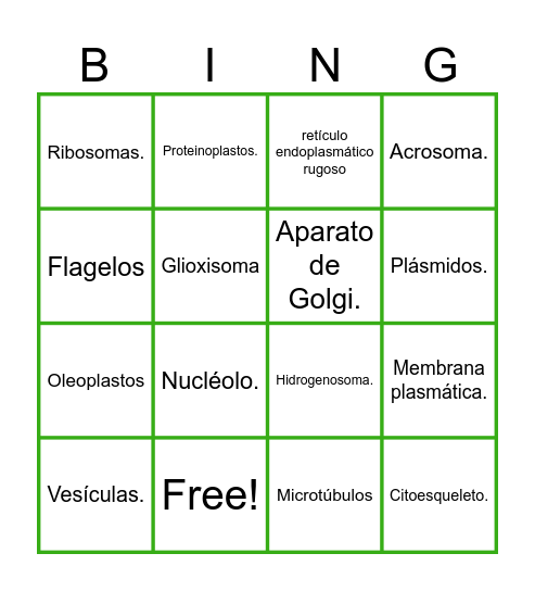 Organelos Bingo Card