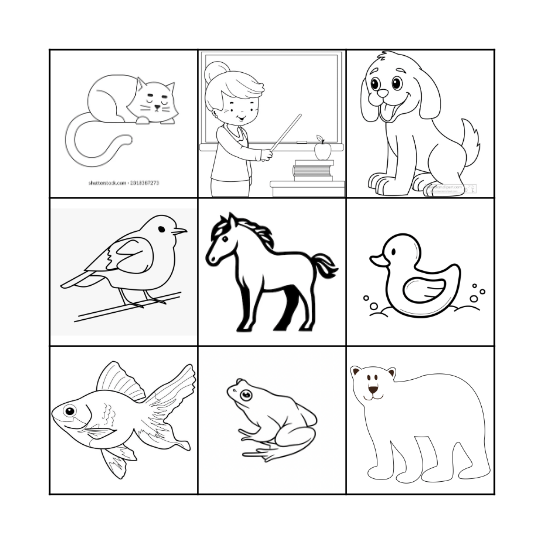 Animals Bingo Card