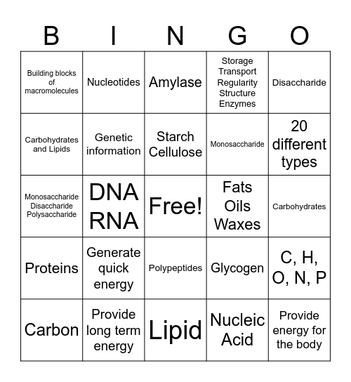 Macromolecules Bingo Card