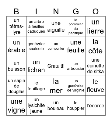 La nature et l'environnement Bingo Card