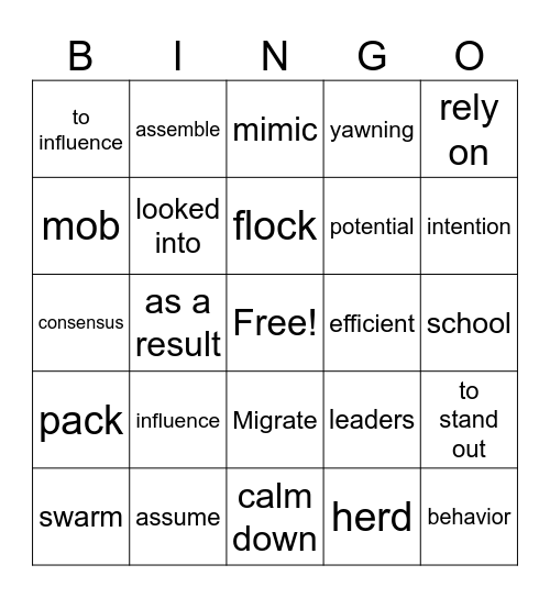 Unit 3 Vocabulary Bingo Card