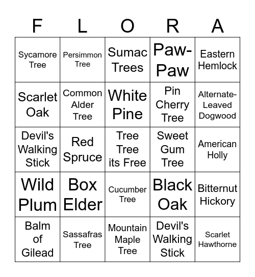 Local Flora of the Great Smoky Mountains Bingo Card