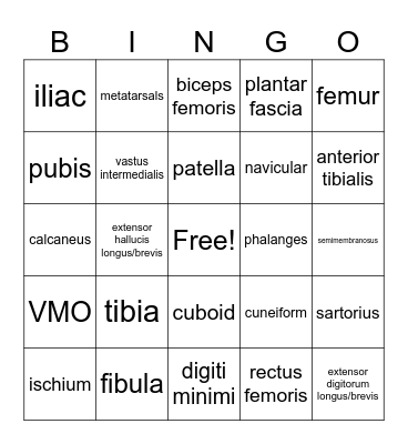 Lower Body Bingo Card