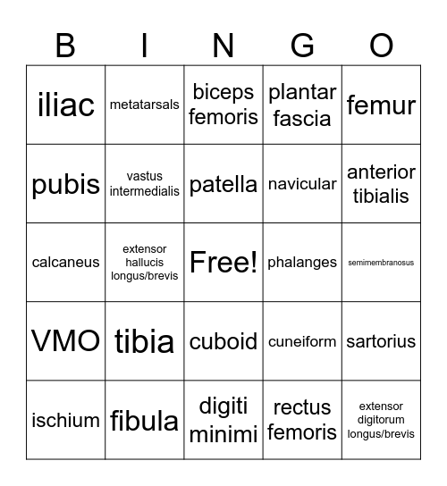 Lower Body Bingo Card