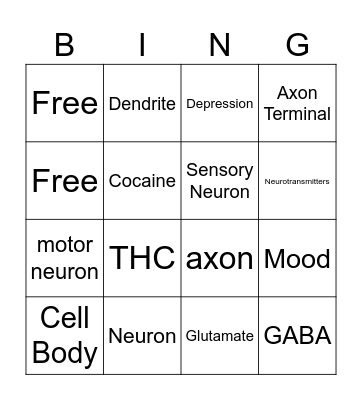 Nervous System Bingo Card