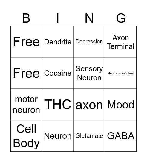 Nervous System Bingo Card