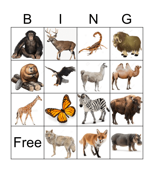 Animals of the Continents Bingo Card