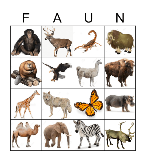 Animals of the Continents Bingo Card