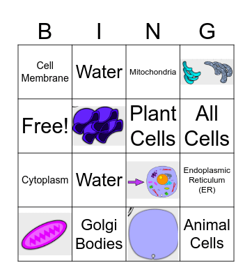 Cell BING #2 Bingo Card