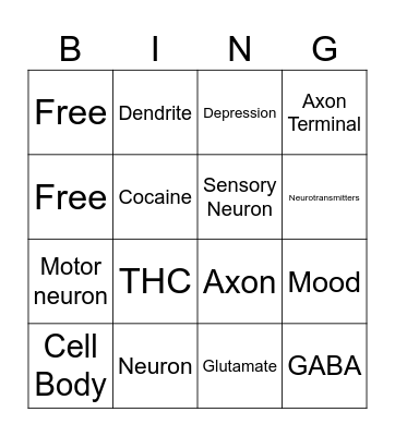 Nervous System Bingo Card