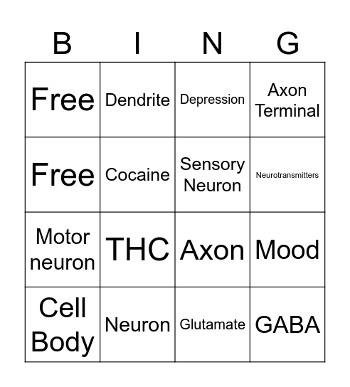 Nervous System Bingo Card