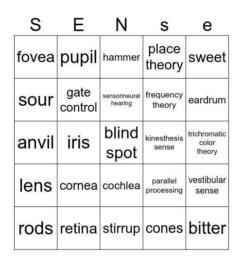 Unit 1 E: Sensation Bingo Card