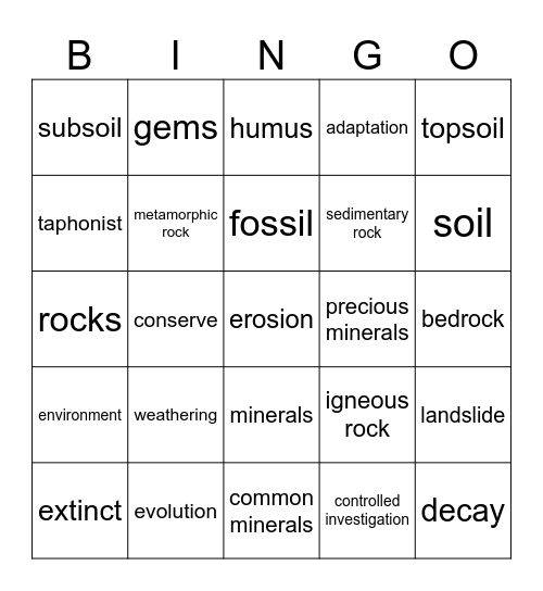 Chapter 3: Rocks, Soil, Minerals, Fossils Bingo Card