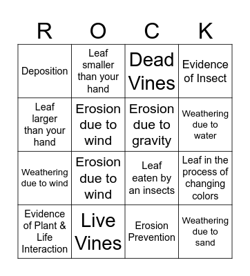Earth Features & Surfaces Bingo Card