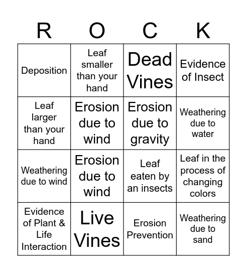 Earth Features & Surfaces Bingo Card