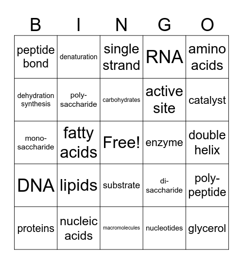 Biochemistry Bingo Card