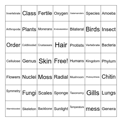 Empower Bingo 7X7 Bingo Card