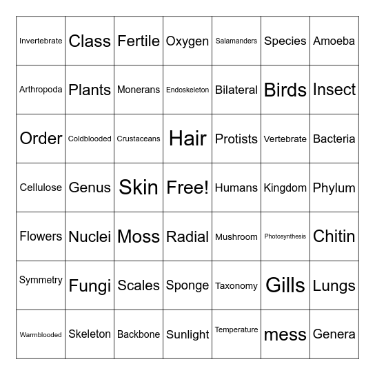 Empower Bingo 7X7 Bingo Card