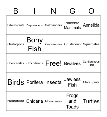 Animal Phylum Bingo Card