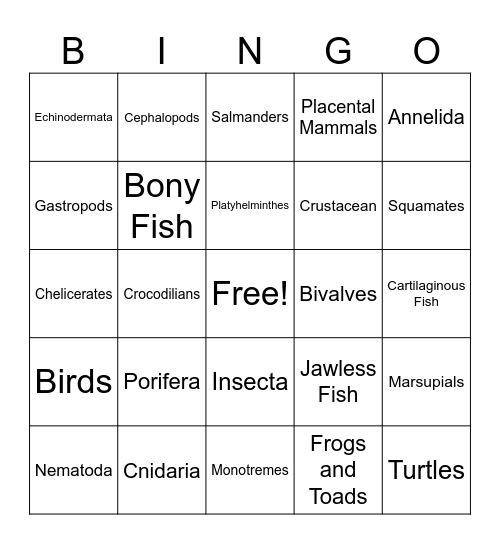 Animal Phylum Bingo Card