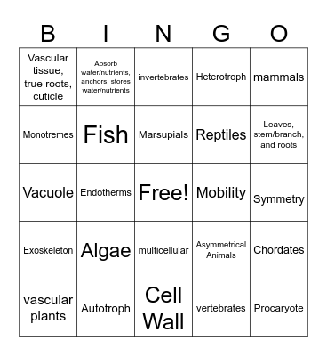 Plants and Animals Review Bingo Card